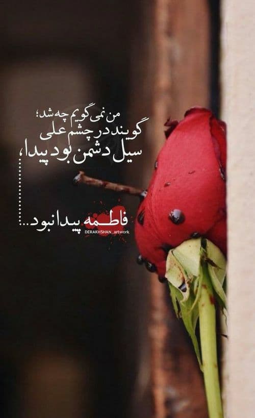 عکس نوشته مخصوص فاطمیه