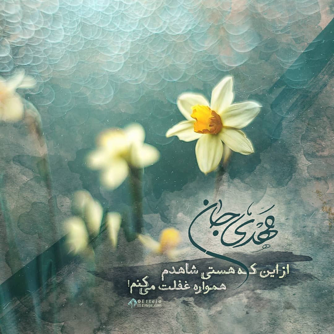 مهدی جان، از این که هستی شاهدم همواره غفلت میکنم