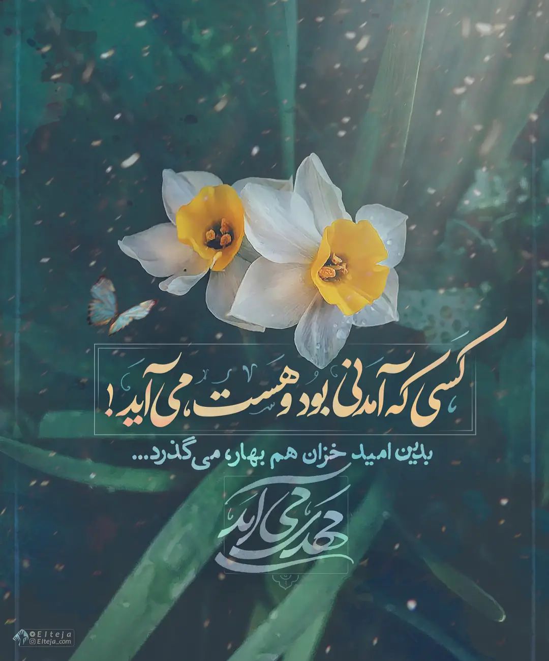 کسی که آمدنی بود و هست، می آید